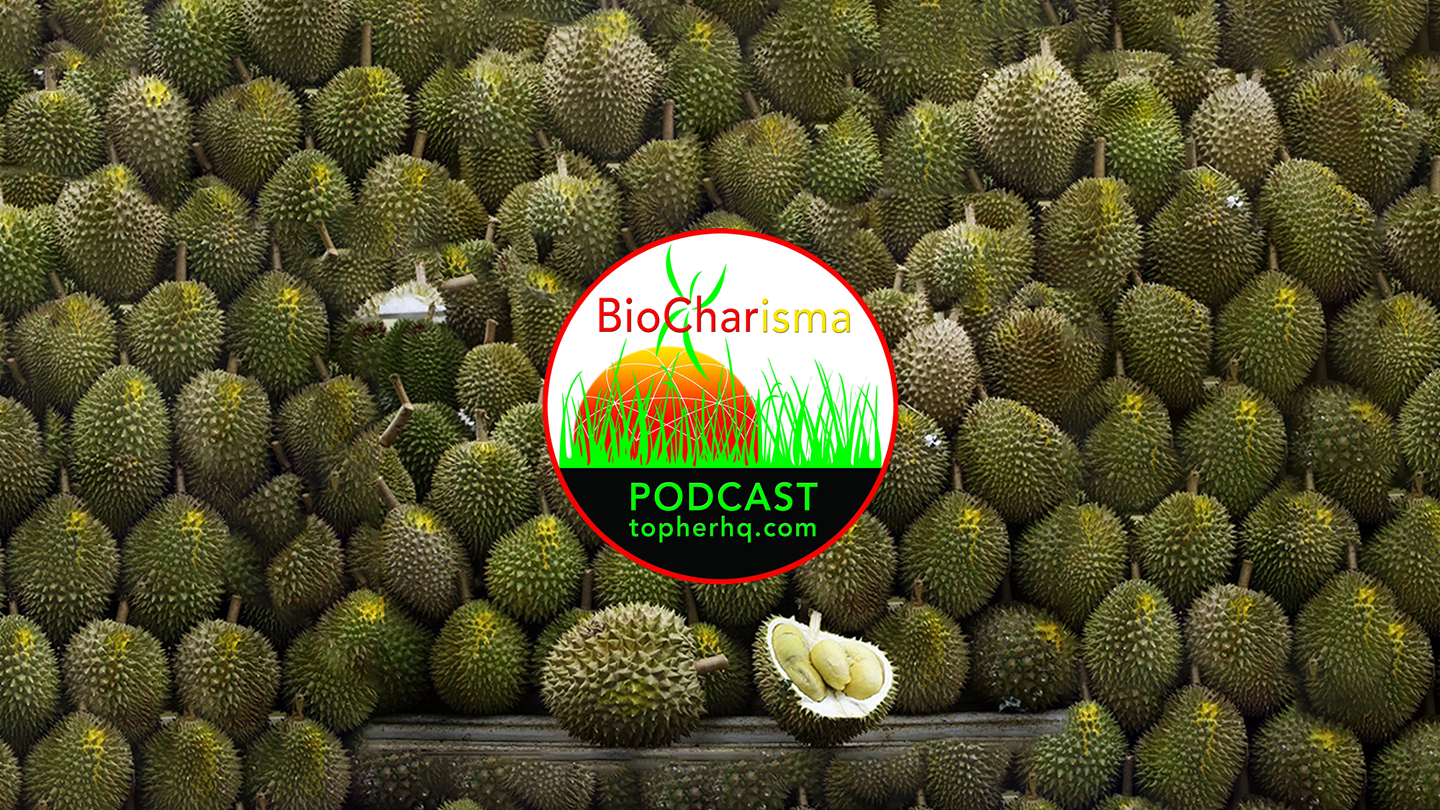 Syntropic BioChar w/ Daniel Andersson | BioCharisma Podcast S2 Episode 1