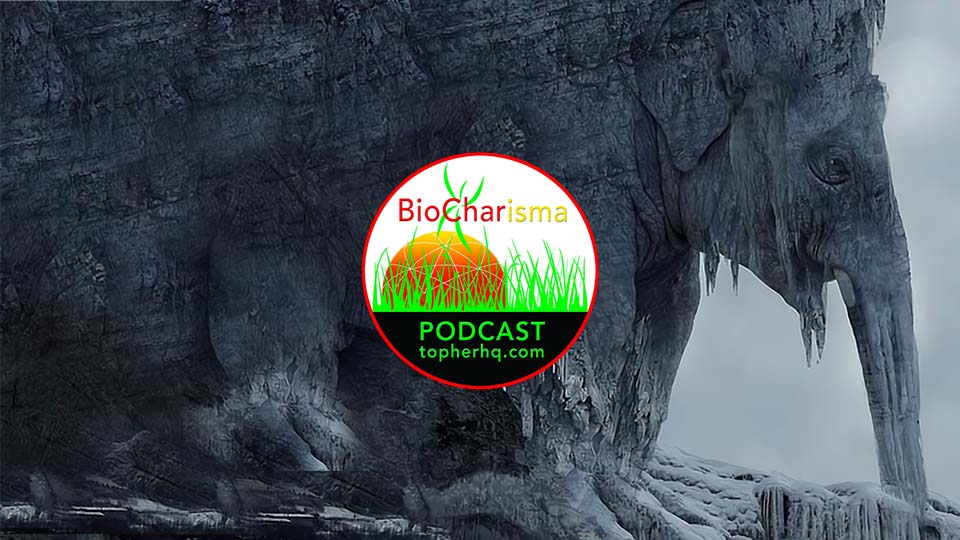 Petrified Hearts w/ Stellium7 | BioCharisma Podcast S2 Episode 2