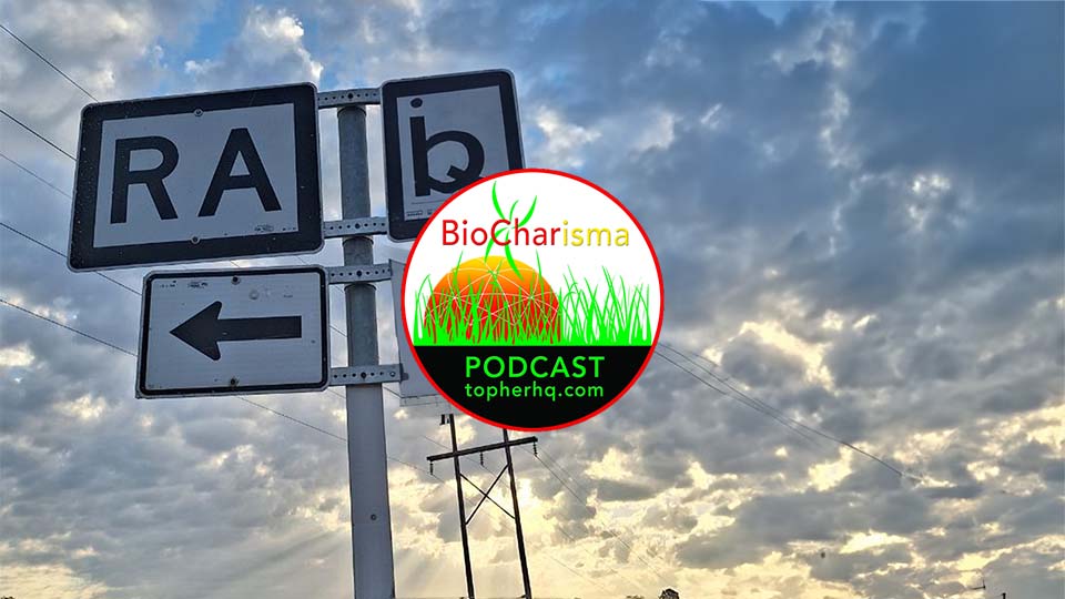 “Regional Archiving(RA)” w/ Analog | BioCharisma Podcast S2 Episode 4