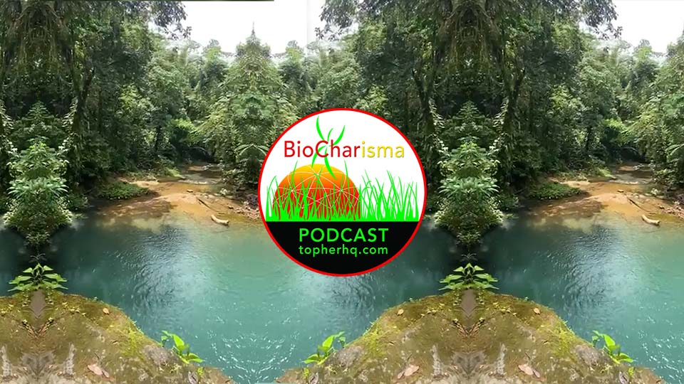 ‘Spiritual Black Swan’ w/ Kevin O’Neill | BioCharisma Podcast S2 Episode 11