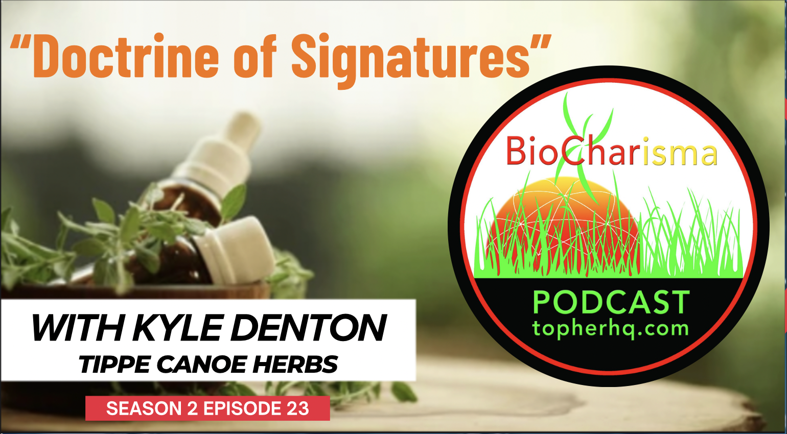 “Doctrine of Signatures” w/ Kyle Denton