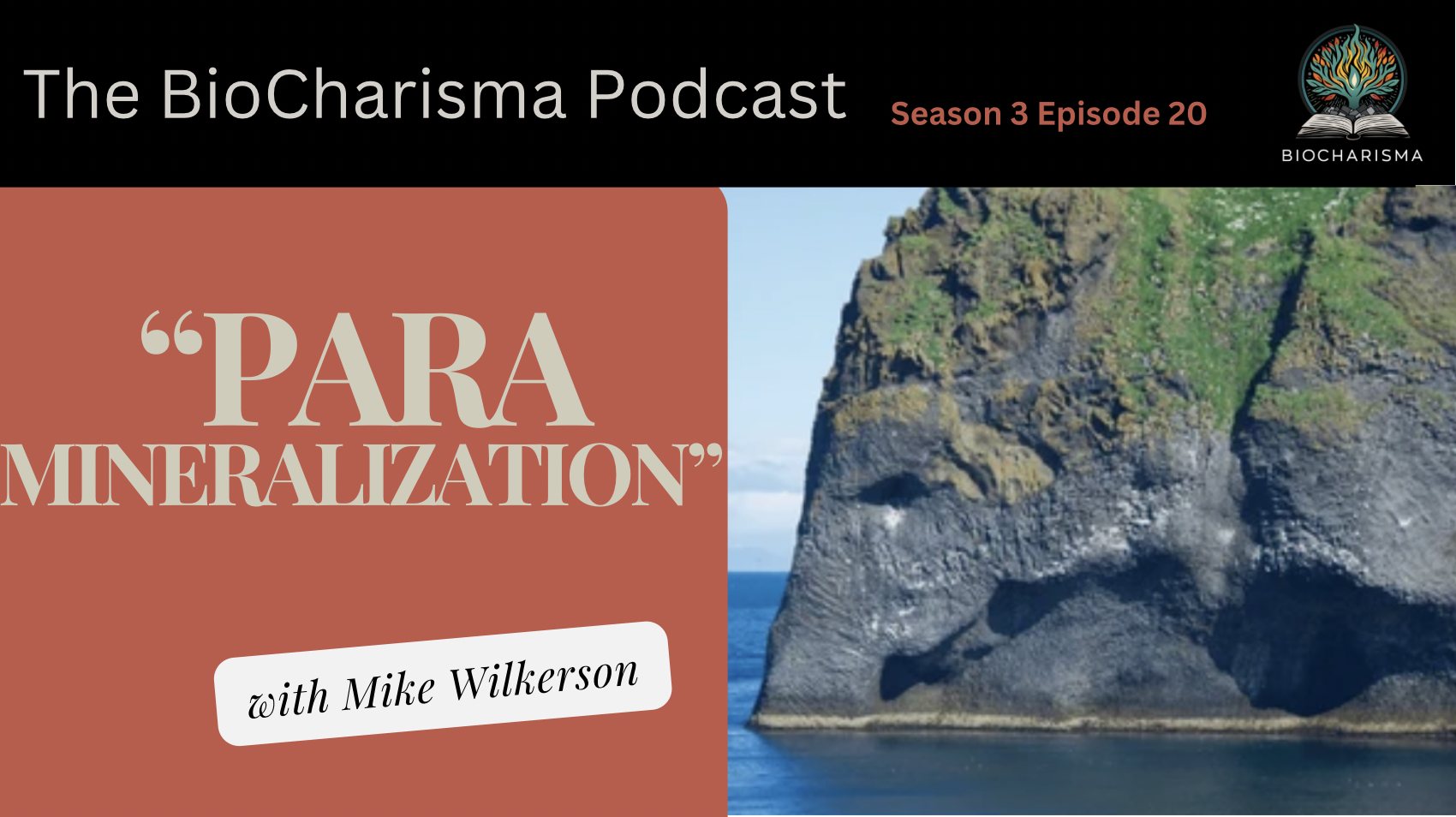 “Para Mineralization” w/ Mike Wilkerson