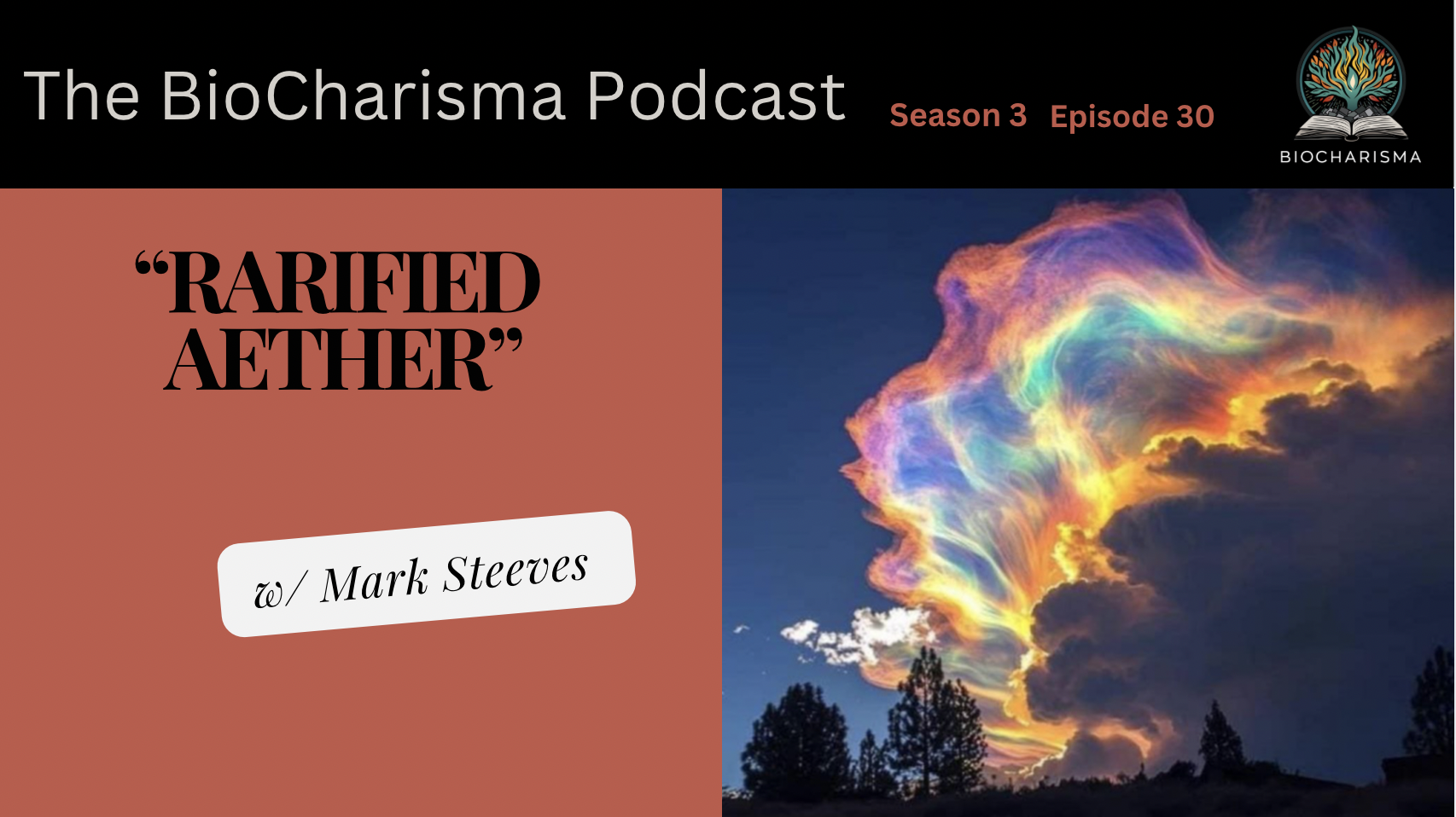 “Rarified Aether” w/ Mark Steeves