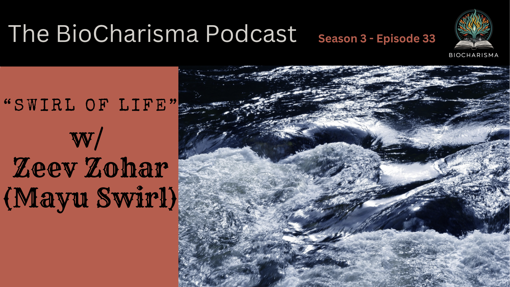 “Swirl of Life” w/ Zeev Zohar