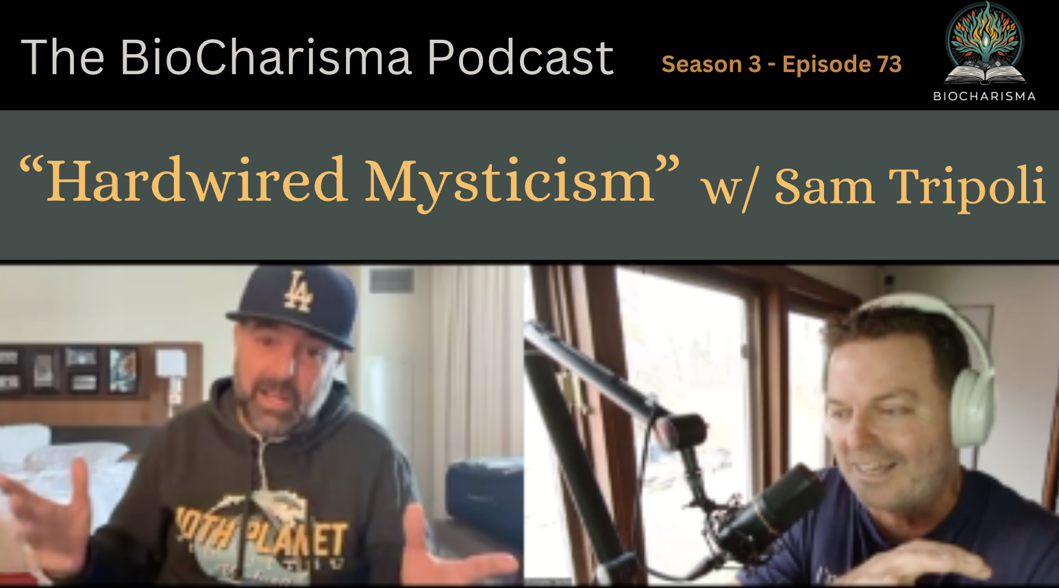 “Hardwired Mysticism” w/ Sam Tripoli