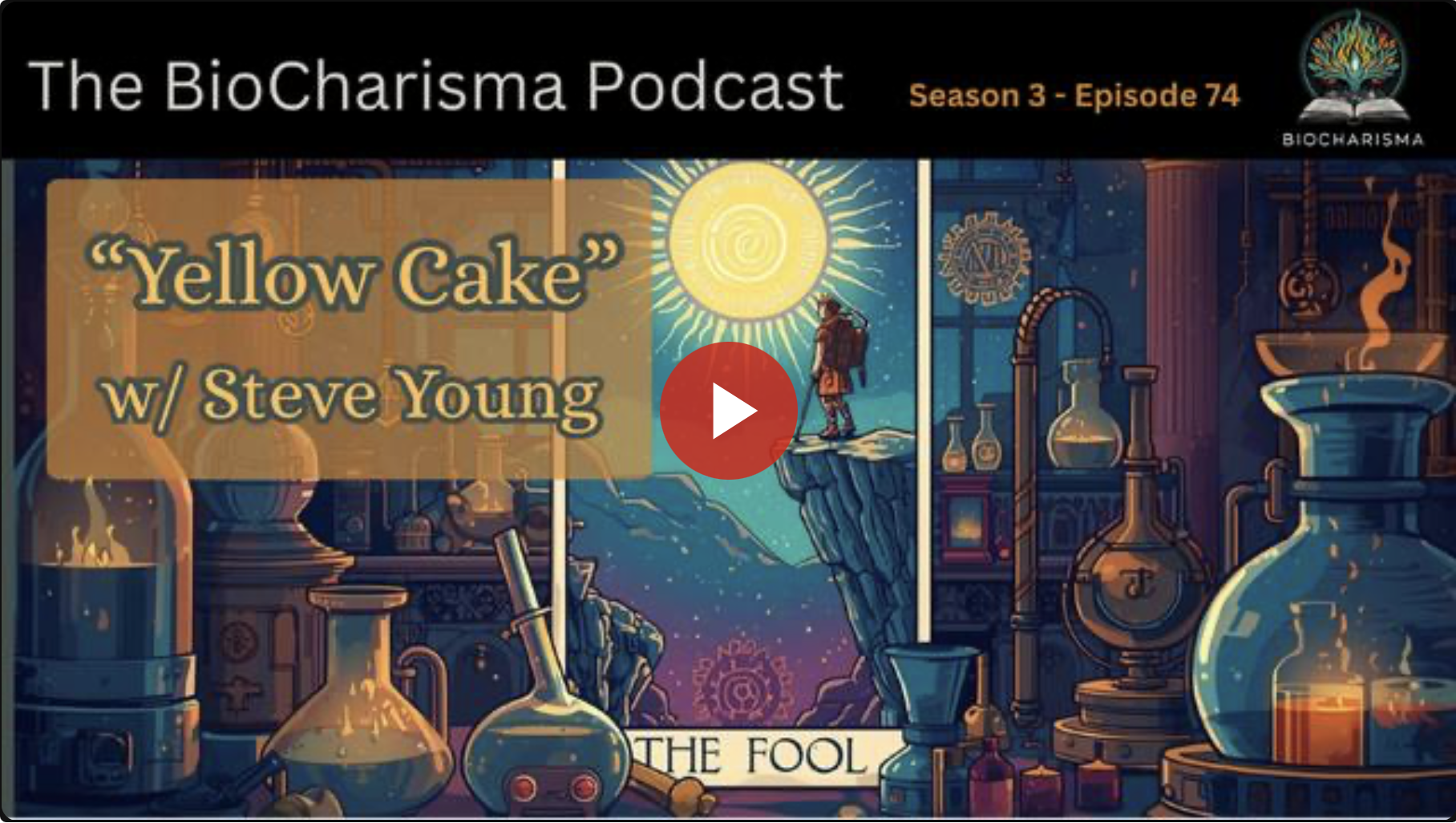 “Yellow Cake” w/ Steve Young