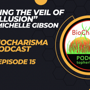 “Piercing the Veil of Illusion” with Michelle Gibson | BioCharisma Podcast S2 Episode 15