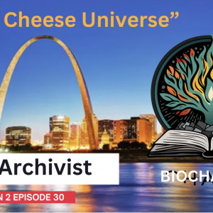 “SWISS CHEESE UNIVERSE” WITH ARCHIVIST
