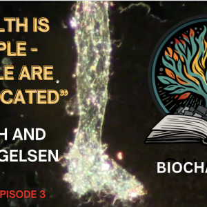 ‘Health is Simple – People are complicated’ w/ Josh and Adam Bigelsen