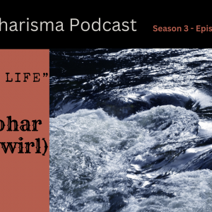 “Swirl of Life” w/ Zeev Zohar